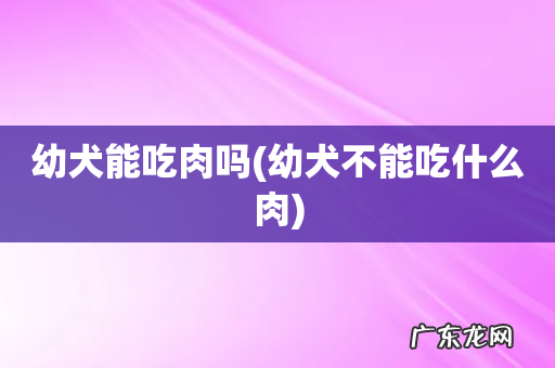 幼犬不能吃什么肉 幼犬能吃肉吗