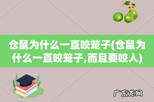 仓鼠为什么一直咬笼子,而且要咬人 仓鼠为什么一直咬笼子
