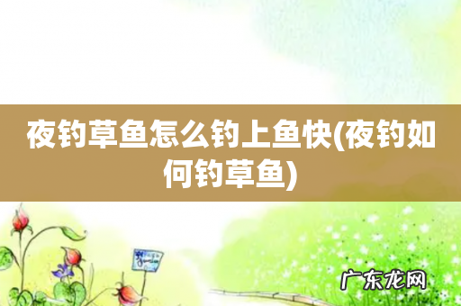 夜钓如何钓草鱼 夜钓草鱼怎么钓上鱼快