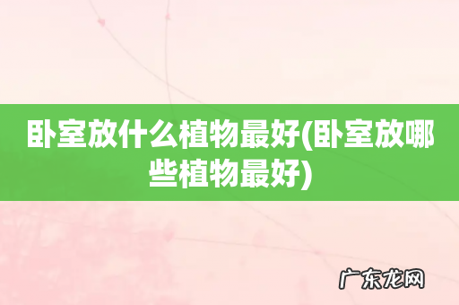 卧室放哪些植物最好 卧室放什么植物最好