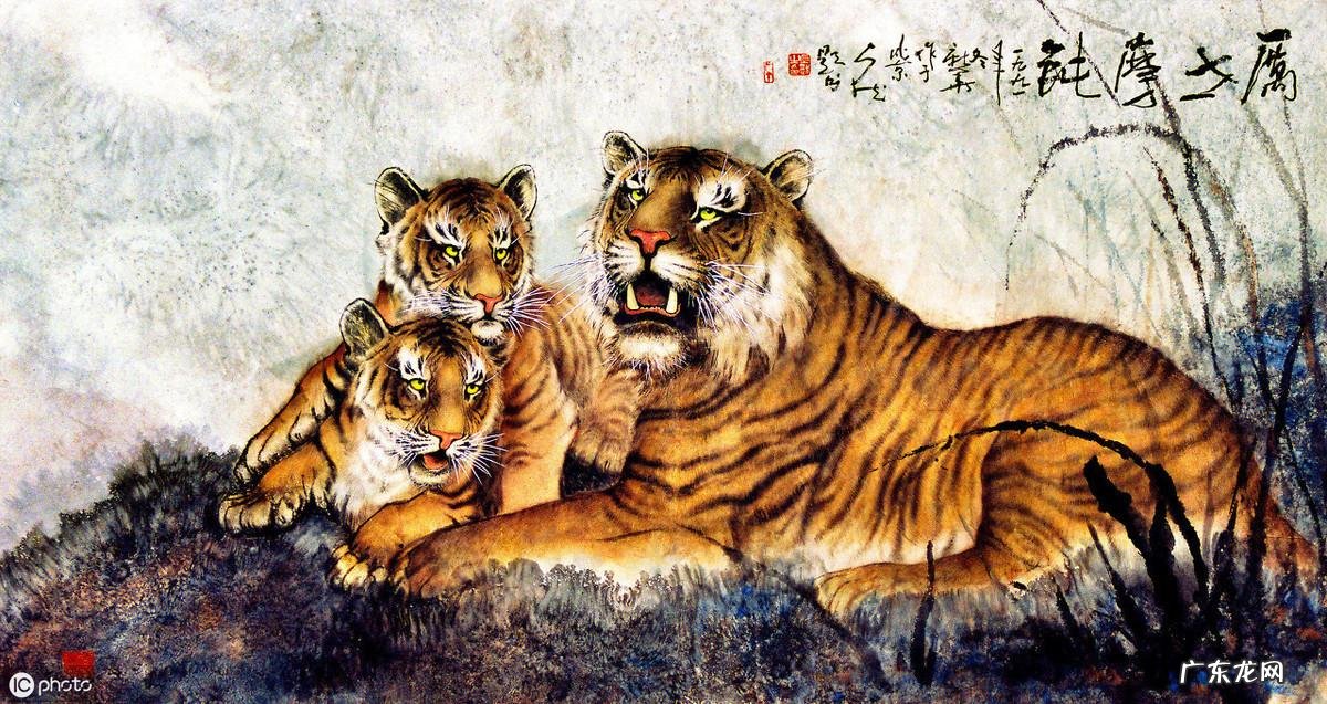 带有虎字的成语 关于带虎字的成语