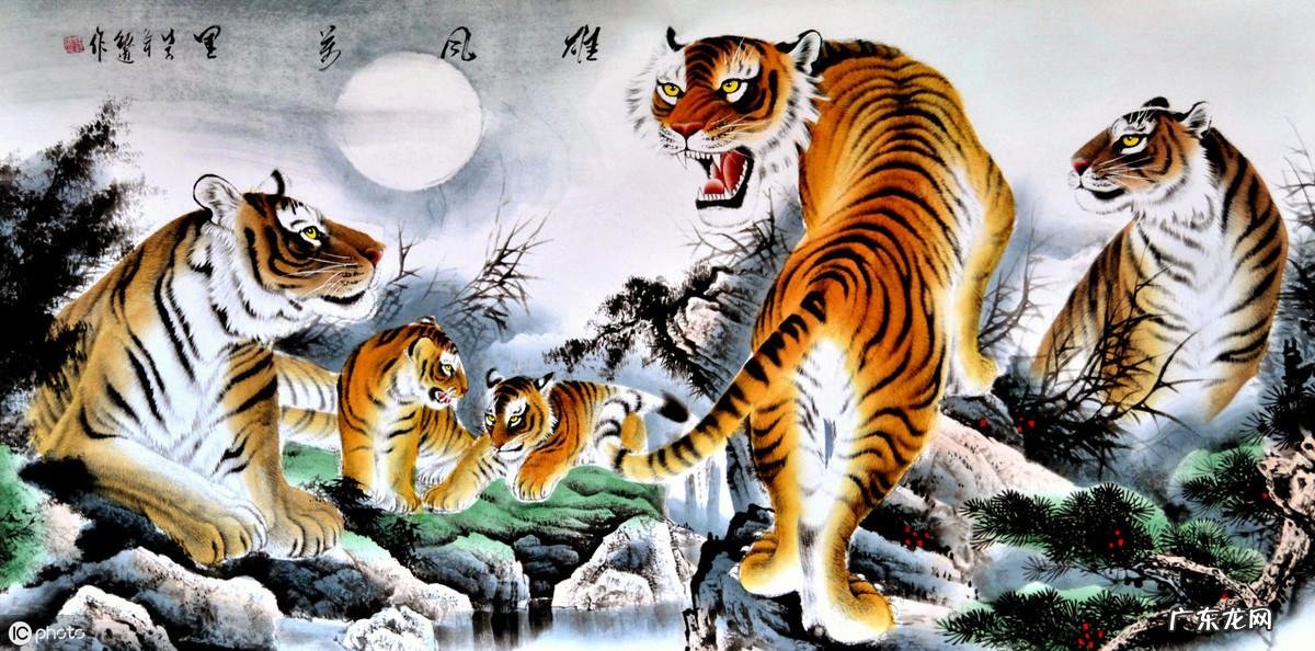 带有虎字的成语 关于带虎字的成语