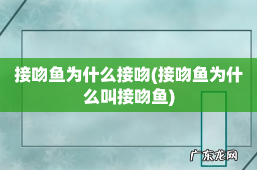 接吻鱼为什么叫接吻鱼 接吻鱼为什么接吻