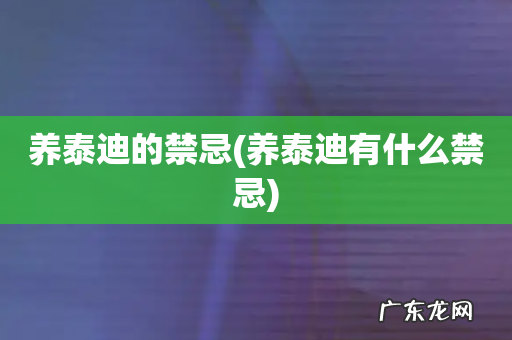 养泰迪有什么禁忌 养泰迪的禁忌
