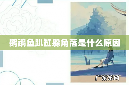 鹦鹉鱼趴缸躲角落是什么原因