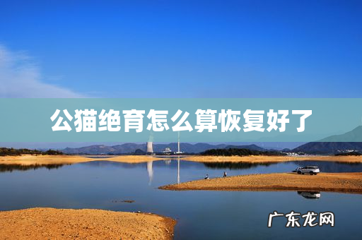 公猫绝育怎么算恢复好了