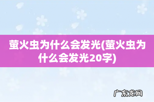 萤火虫为什么会发光20字 萤火虫为什么会发光
