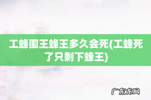 工蜂死了只剩下蜂王 工蜂围王蜂王多久会死