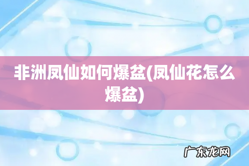 凤仙花怎么爆盆 非洲凤仙如何爆盆