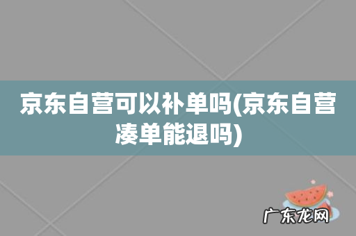 京东自营凑单能退吗 京东自营可以补单吗