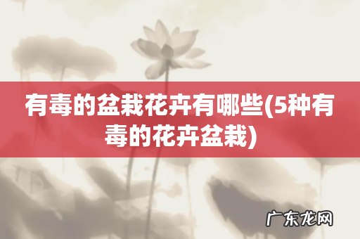 5种有毒的花卉盆栽 有毒的盆栽花卉有哪些