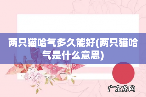两只猫哈气是什么意思 两只猫哈气多久能好