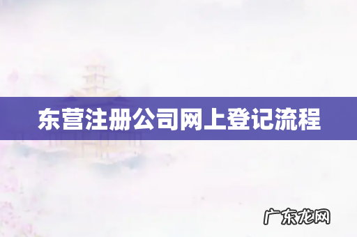 东营注册公司网上登记流程