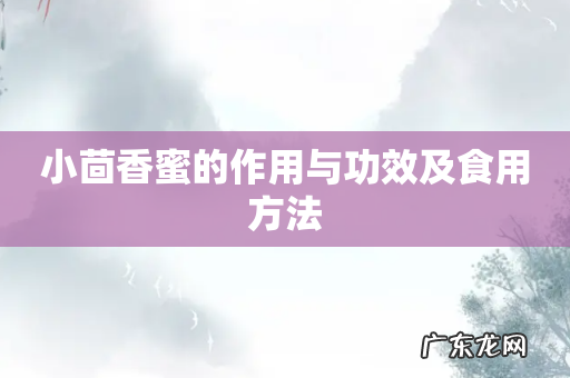 小茴香蜜的作用与功效及食用方法