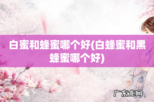 白蜂蜜和黑蜂蜜哪个好 白蜜和蜂蜜哪个好