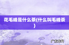 什么叫毛峰茶 花毛峰是什么茶