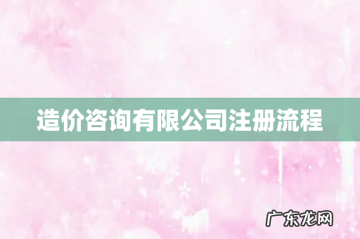 造价咨询有限公司注册流程