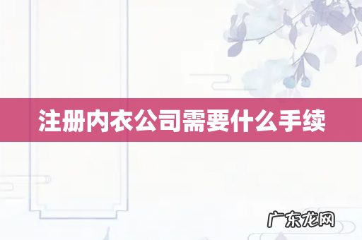 注册内衣公司需要什么手续