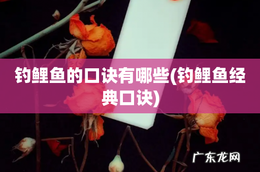 钓鲤鱼经典口诀 钓鲤鱼的口诀有哪些