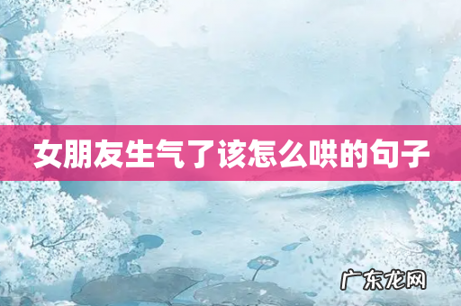 女朋友生气了该怎么哄的句子