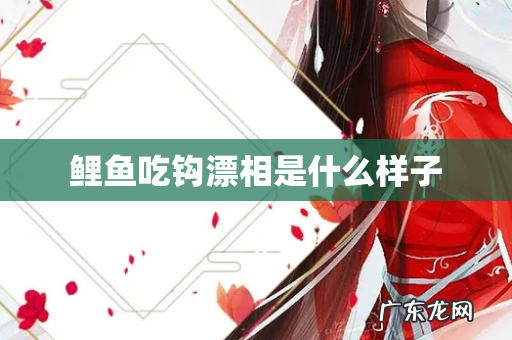 鲤鱼吃钩漂相是什么样子