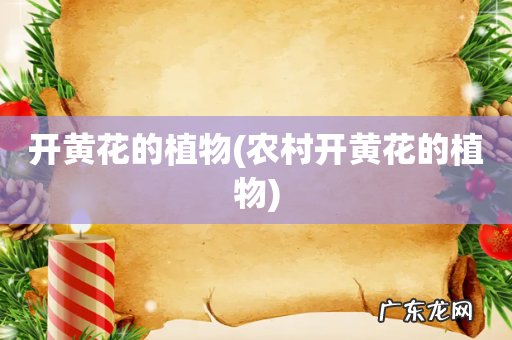 农村开黄花的植物 开黄花的植物