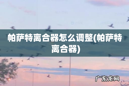 帕萨特 离合器 帕萨特离合器怎么调整