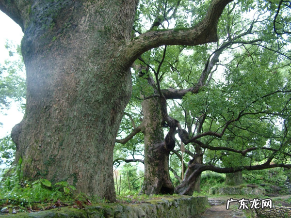 镇宅石头 风水枕棺石