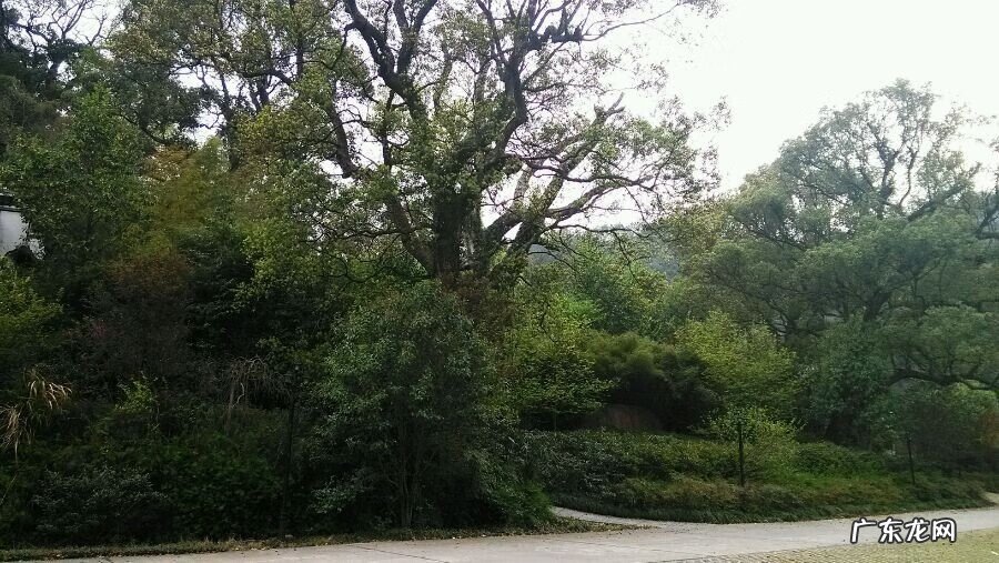 镇宅石头 风水枕棺石