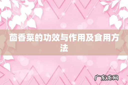 茴香菜的功效与作用及食用方法