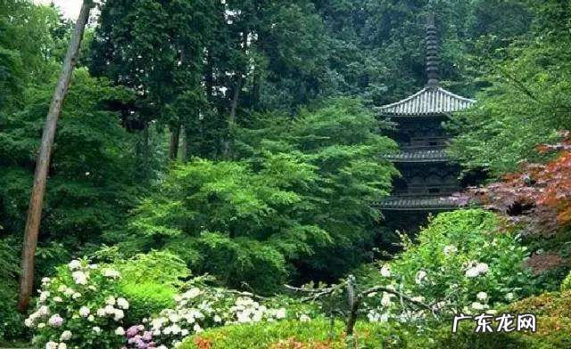 日本庭院石灯笼 日式庭院石灯寓意