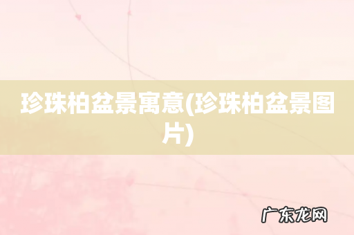 珍珠柏盆景图片 珍珠柏盆景寓意