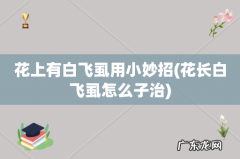 花长白飞虱怎么子治 花上有白飞虱用小妙招