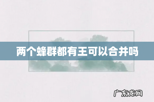 两个蜂群都有王可以合并吗