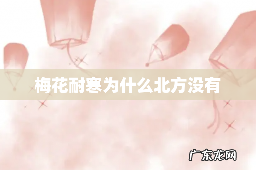 梅花耐寒为什么北方没有