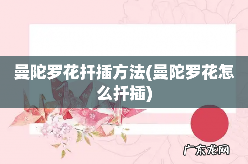 曼陀罗花怎么扦插 曼陀罗花扦插方法