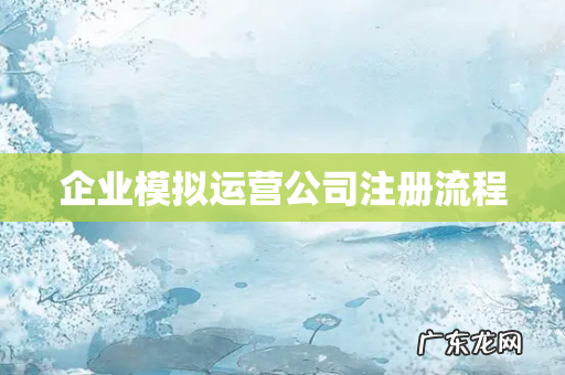 企业模拟运营公司注册流程
