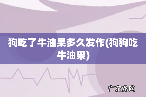 狗狗吃牛油果 狗吃了牛油果多久发作