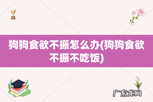 狗狗食欲不振不吃饭 狗狗食欲不振怎么办