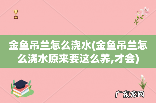 金鱼吊兰怎么浇水原来要这么养,才会 金鱼吊兰怎么浇水