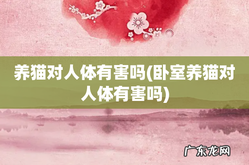 卧室养猫对人体有害吗 养猫对人体有害吗