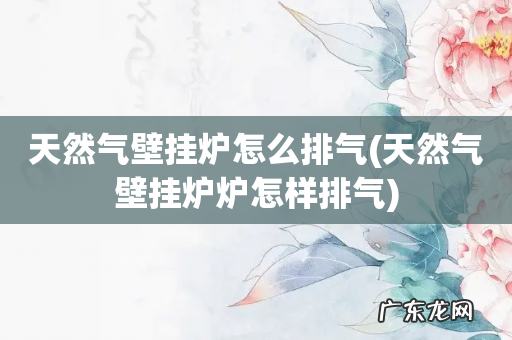 天然气壁挂炉炉怎样排气 天然气壁挂炉怎么排气