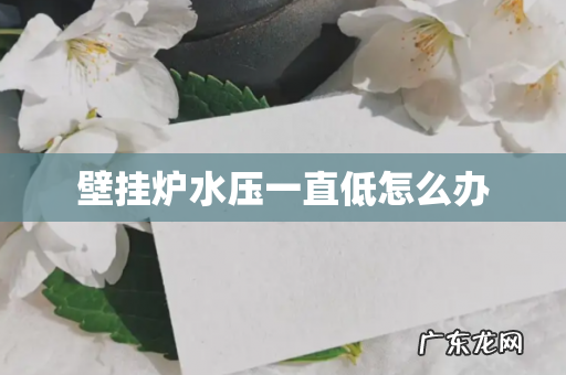 壁挂炉水压一直低怎么办