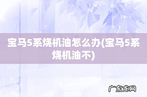 宝马5系烧机油不 宝马5系烧机油怎么办