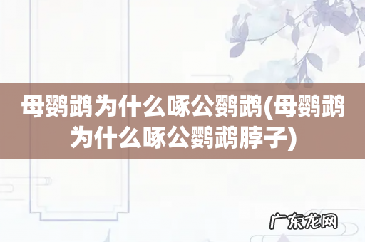 母鹦鹉为什么啄公鹦鹉脖子 母鹦鹉为什么啄公鹦鹉