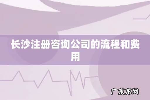 长沙注册咨询公司的流程和费用