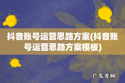 抖音账号运营思路方案模板 抖音账号运营思路方案
