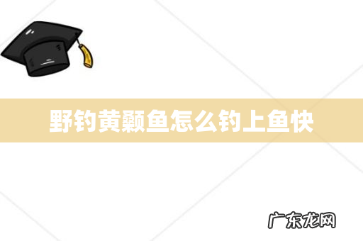 野钓黄颡鱼怎么钓上鱼快