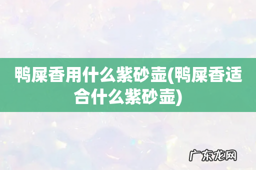 鸭屎香适合什么紫砂壶 鸭屎香用什么紫砂壶