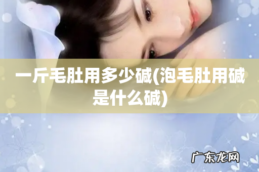 泡毛肚用碱是什么碱 一斤毛肚用多少碱